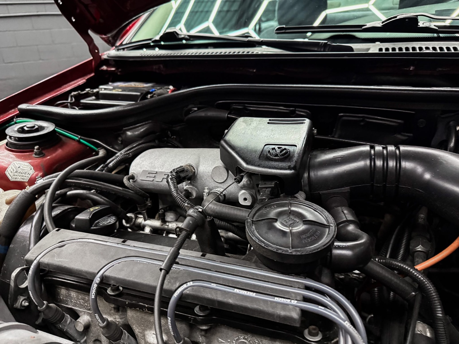 WhatsApp Image 2026-01-17 at 18.42.38